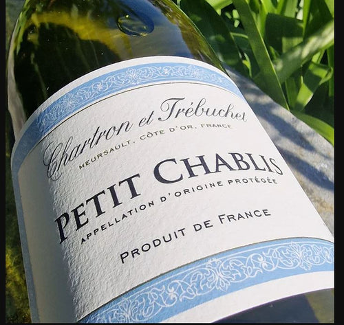Chablis— CHARTRON ET TREBUCHET bottle detail — White Wine at Max's Enoteca